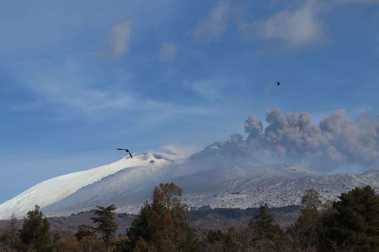 Vivere e lavorare all’ombra dell’Etna: la forza e la passione di Cuore Lavico